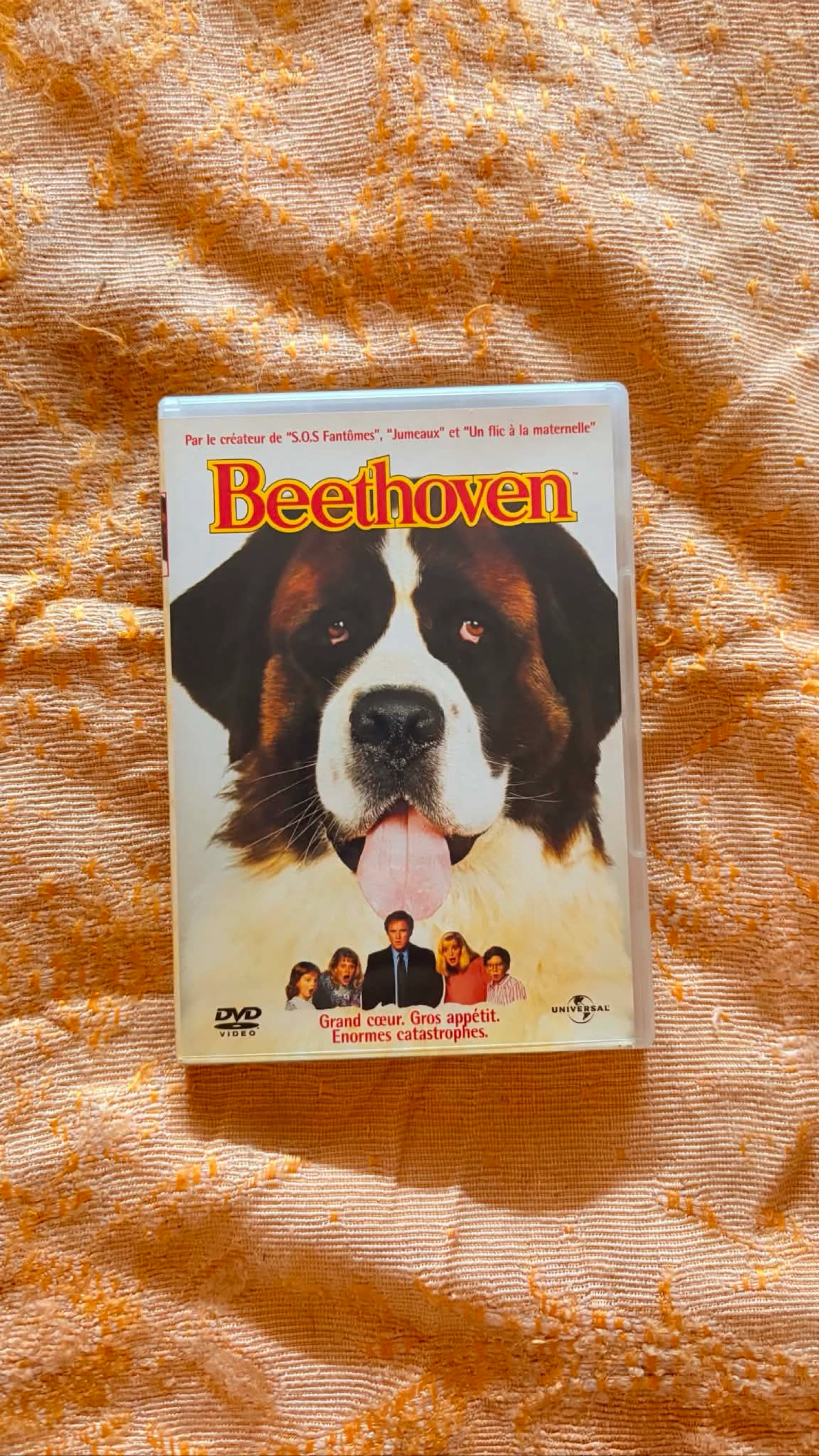 Beethoven le film